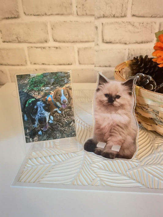 PawsKnow Custom Pet Portrait phone stand